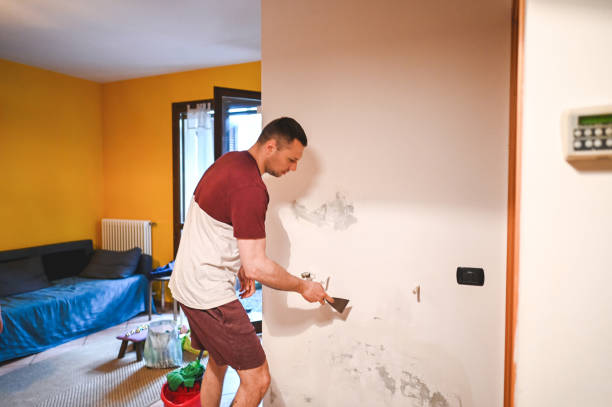 Best Professional Mold Removal  in Ogdensburg, NJ